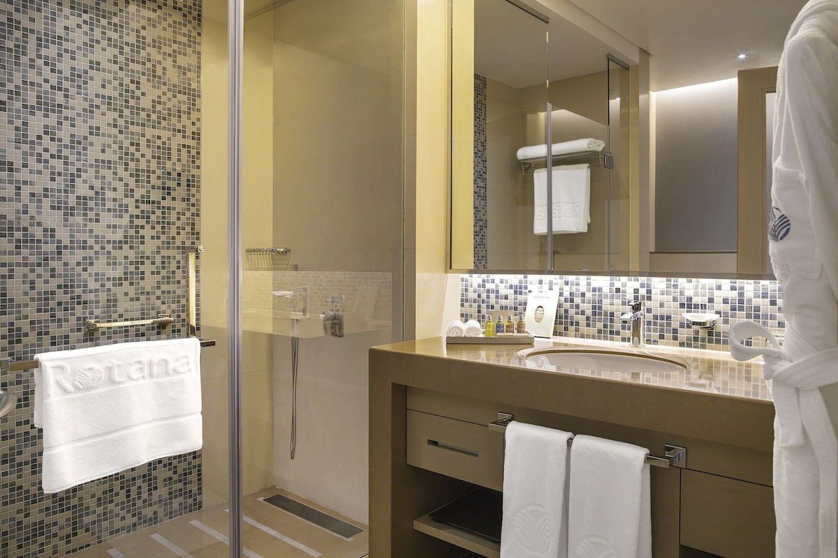 Downtown Rotana 5